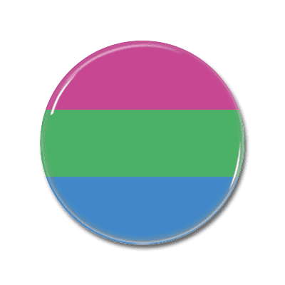 polysexual Flag | Button polysexual Flag | Button