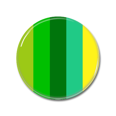 Paroromantik Flag | Button Paroromantik Flag | Button
