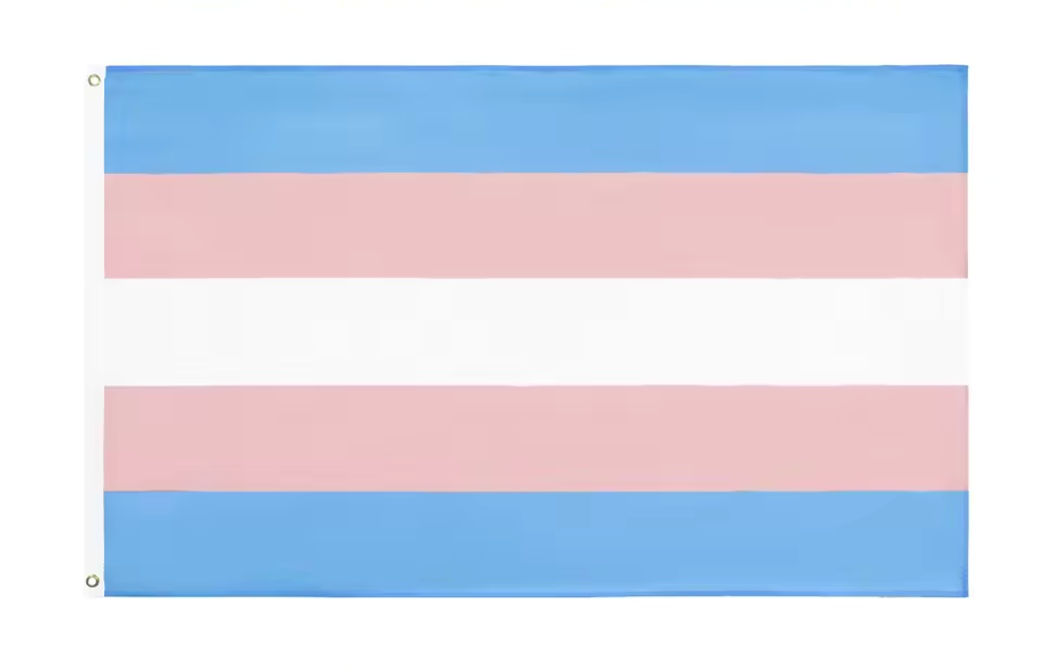 trans Pride | Flagge 100 x 150
