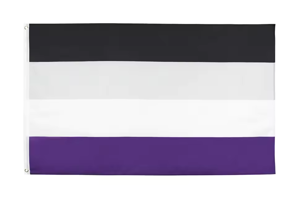 asexuall Pride | Flagge 100 x 150