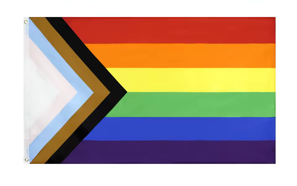 progress Pride | Flagge 100 x 150