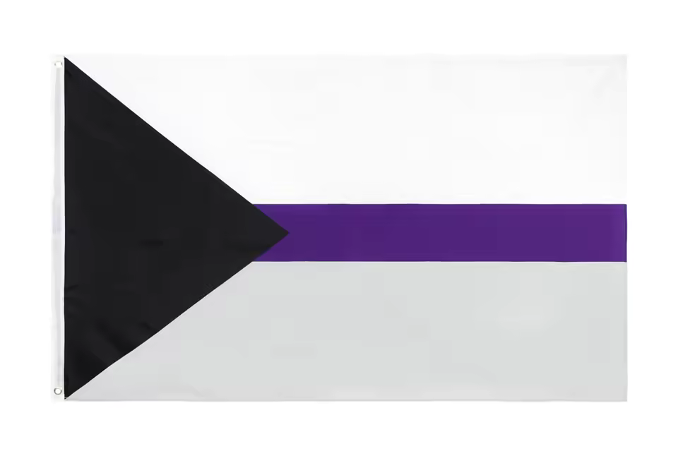 demisexual Pride | Flagge 100 x 150