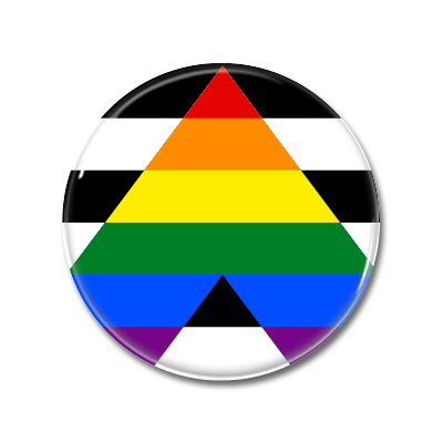 Straight Ally Flag | Button
