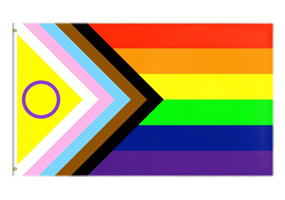 new Progress Pride | Flagge 100 x 150