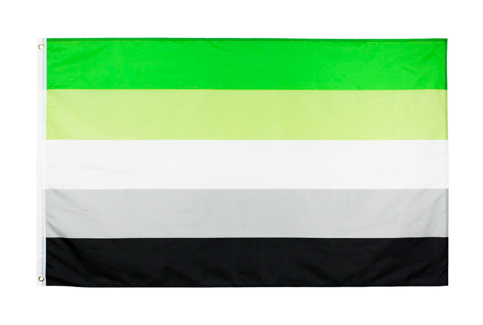 aromantik Pride | Flagge 100 x 150
